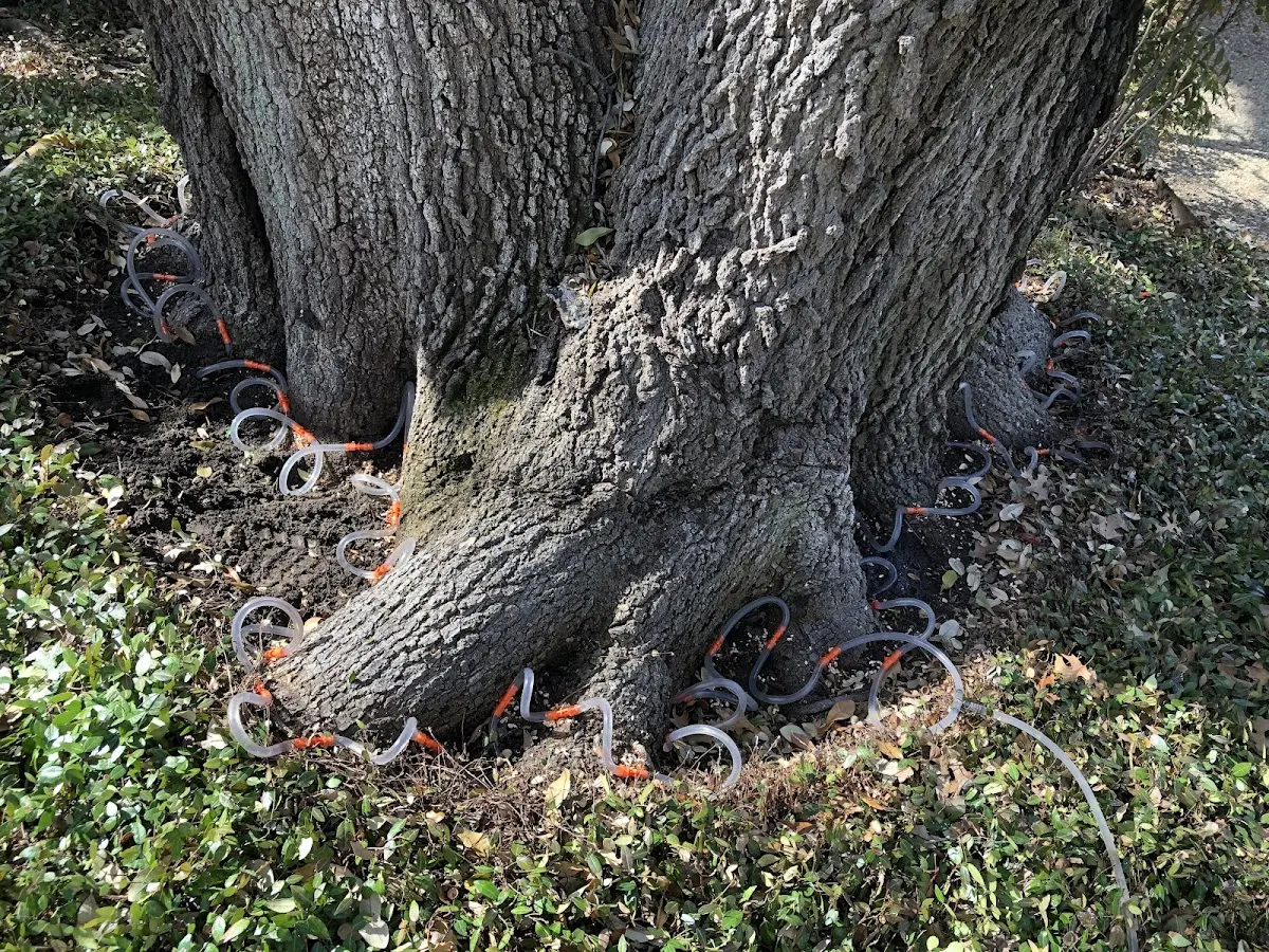 Detailed Tree Cabling and Bracing job site in Unity
